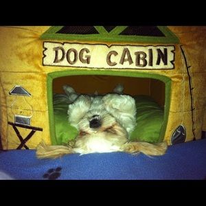 Meet your Posher, Sanela